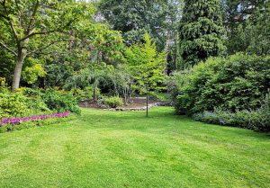 Optimiser l'expérience du jardin à Saint-Symphorien-d'Ancelles